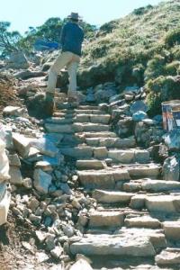 Mt Feathertoip summit walking track rehabilitation